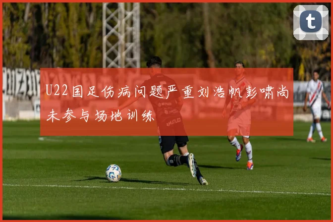 U22国足伤病问题严重刘浩帆彭啸尚未参与场地训练