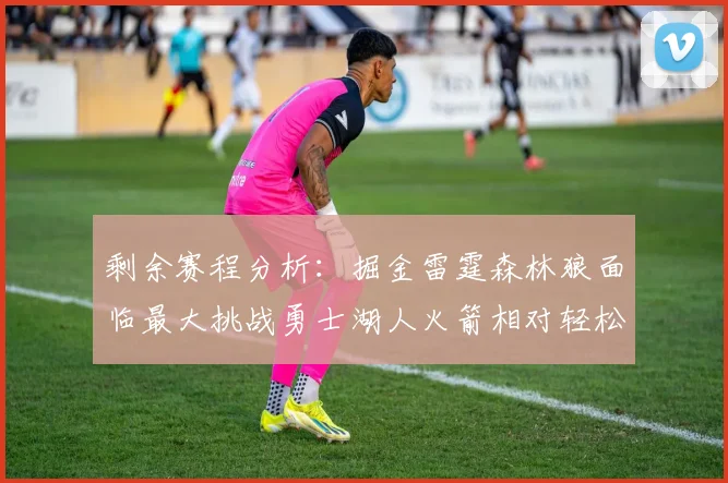 剩余赛程分析：掘金雷霆森林狼面临最大挑战勇士湖人火箭相对轻松